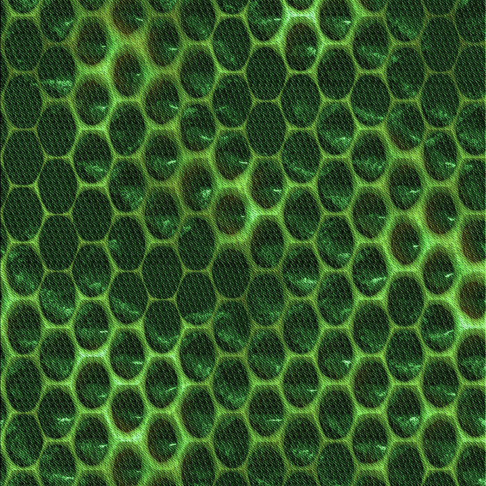 Patterned Dark Lime Green Rug, pat1716grn