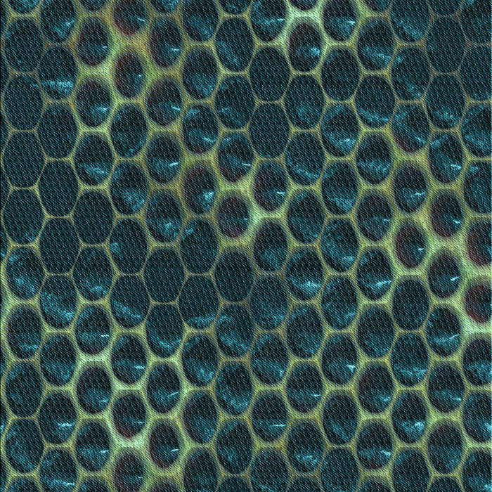 Patterned Deep Teal Green Rug, pat1716lblu