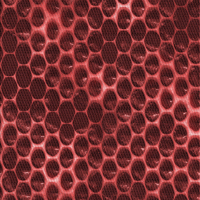 Machine Washable Transitional Maroon Red Rug, wshpat1716rd