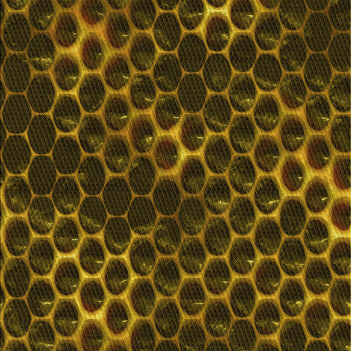 Patterned Black Brown Rug, pat1716yw