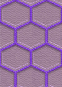 Machine Washable Transitional Orchid Purple Rug, wshpat1717pur