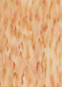 Machine Washable Transitional Orange Rug, wshpat172org