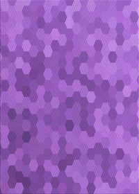 Machine Washable Transitional Purple Rug, wshpat1720pur