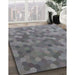 Patterned Dark Gray Novelty Rug in Family Room, pat1720