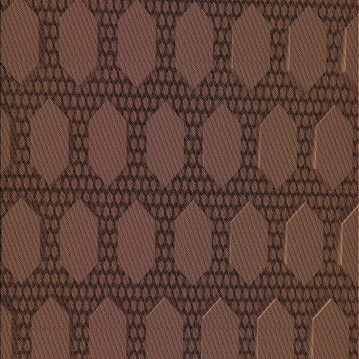 Machine Washable Transitional Sienna Brown Rug, wshpat1722brn