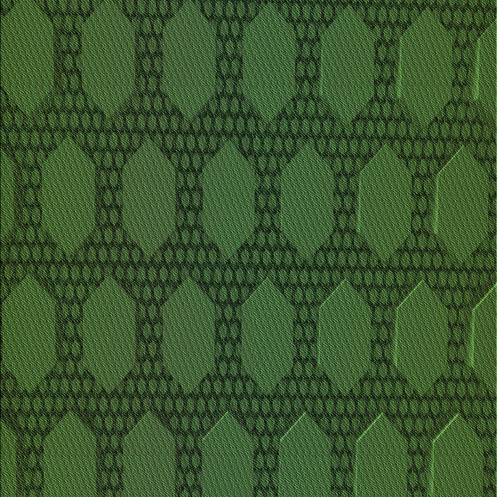 Machine Washable Transitional Dark Forest Green Rug, wshpat1722grn