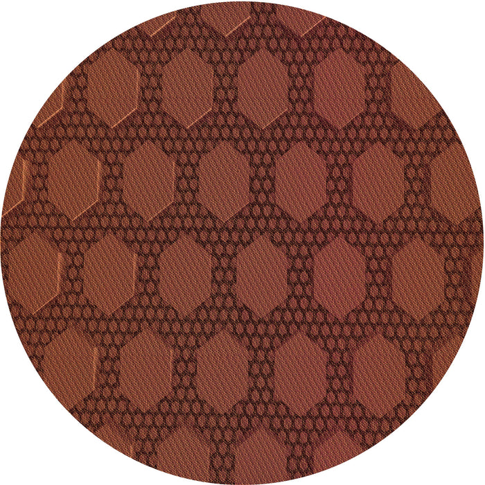 Square Machine Washable Transitional Mahogany Brown Rug in a Living Room, wshpat1722org