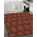 Machine Washable Transitional Mahogany Brown Rug in a Family Room, wshpat1722org