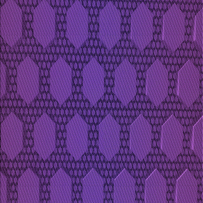 Machine Washable Transitional Bright Purple Rug, wshpat1722pur