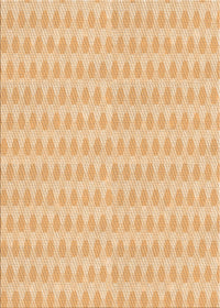 Machine Washable Transitional Orange Rug, wshpat1723org