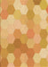 Machine Washable Transitional Neon Orange Rug, wshpat1724org