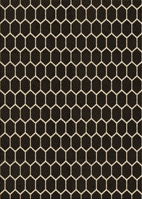 Machine Washable Transitional Black Rug, wshpat1725brn