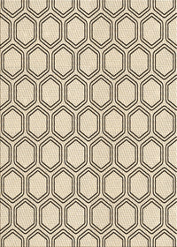 Machine Washable Transitional Brown Rug, wshpat1726brn