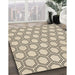 Machine Washable Transitional Brown Rug in a Family Room, wshpat1726brn