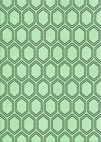 Machine Washable Transitional Mint Green Rug, wshpat1726grn