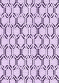 Machine Washable Transitional Purple Flower Purple Rug, wshpat1726pur