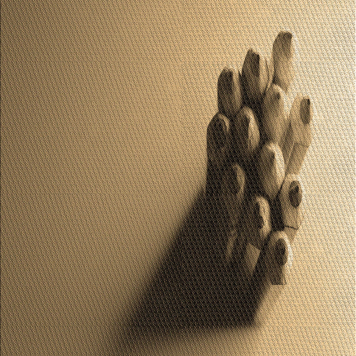 Patterned Red Brown Rug, pat1728brn