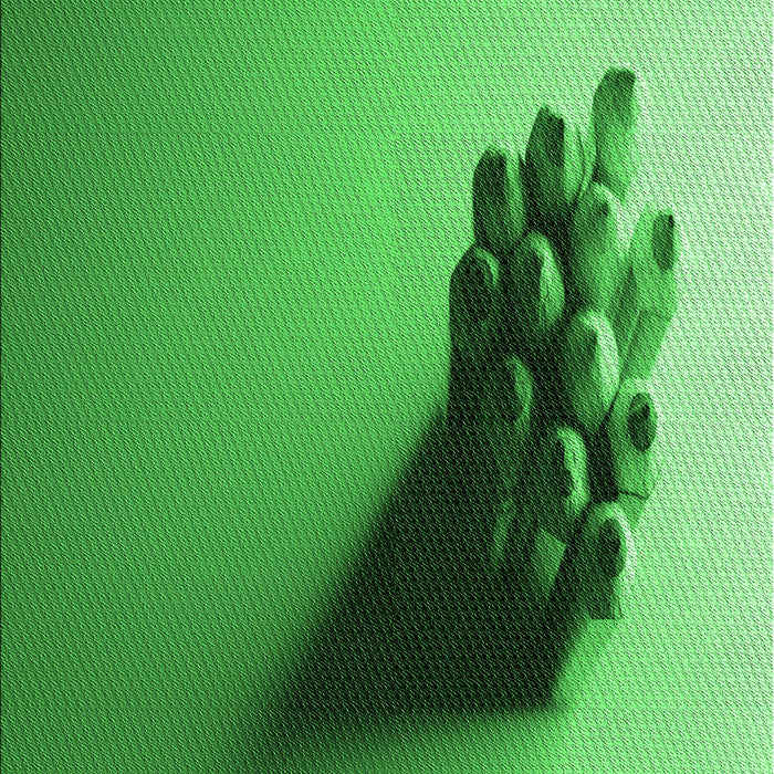 Machine Washable Transitional Green Rug, wshpat1728grn