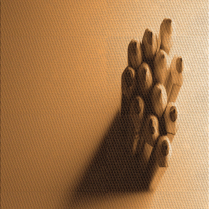 Patterned Orange Rug, pat1728org