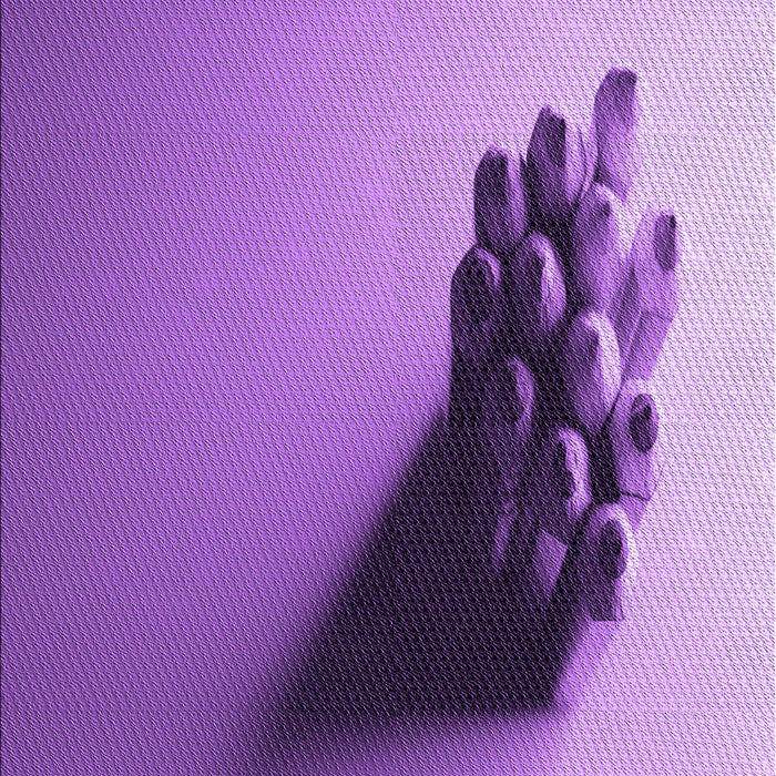 Machine Washable Transitional Violet Purple Rug, wshpat1728pur