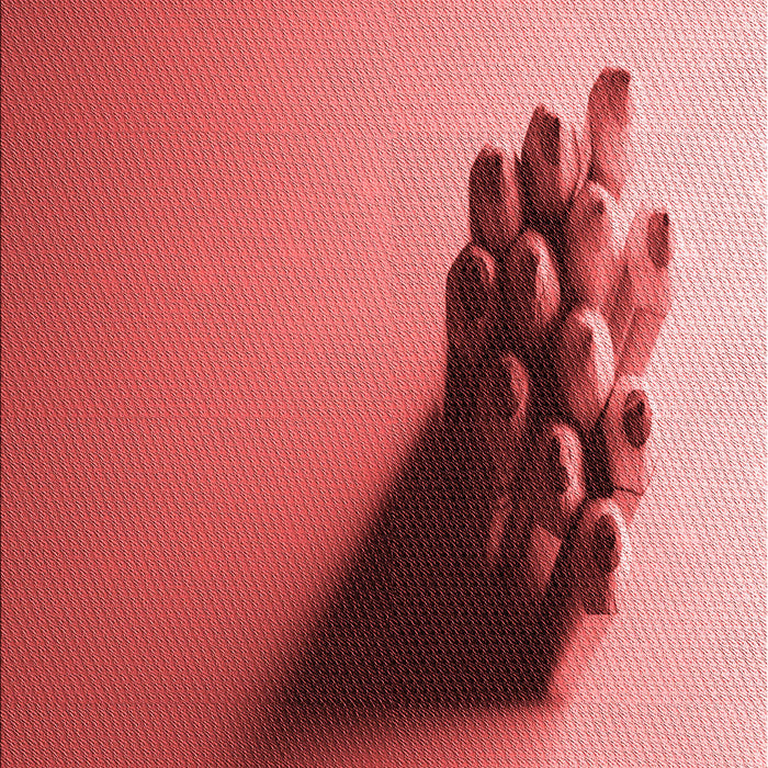 Machine Washable Transitional Red Rug, wshpat1728rd