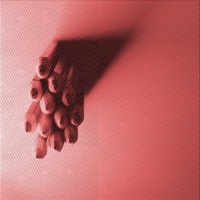 Round Machine Washable Transitional Red Rug, wshpat1728rd