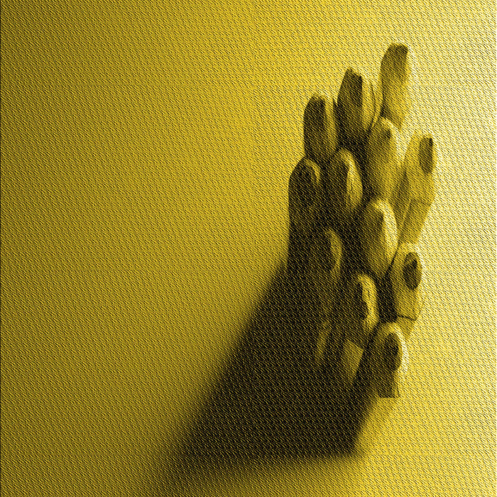 Patterned Dark Bronze Brown Rug, pat1728yw