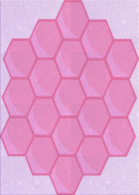 Machine Washable Transitional Blossom Pink Rug, wshpat1729pur