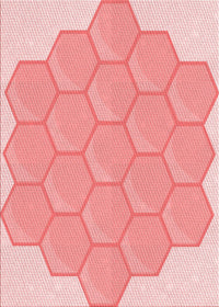 Machine Washable Transitional Pink Rug, wshpat1729rd