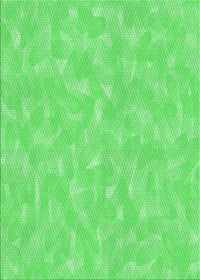 Machine Washable Transitional Neon Green Rug, wshpat173grn