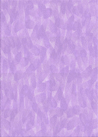 Machine Washable Transitional Purple Rug, wshpat173pur