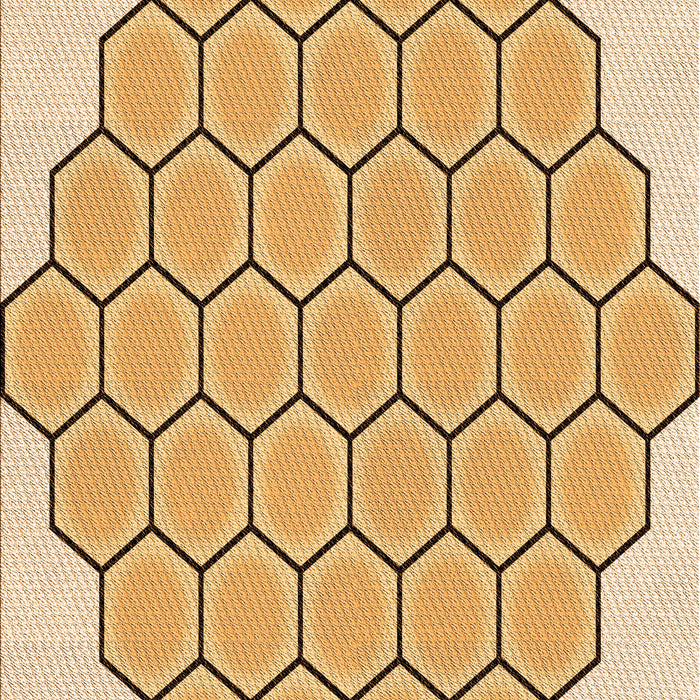 Machine Washable Transitional Sedona Brown Rug, wshpat1730org