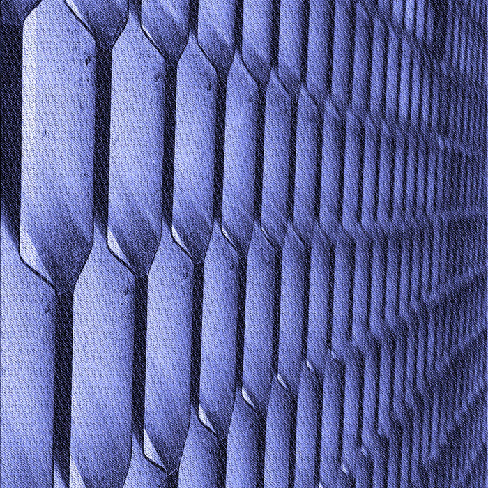 Patterned Sky Blue Rug, pat1731blu