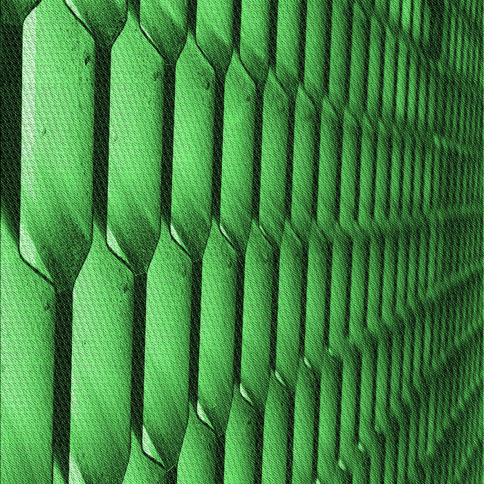 Patterned Deep Emerald Green Rug, pat1731grn