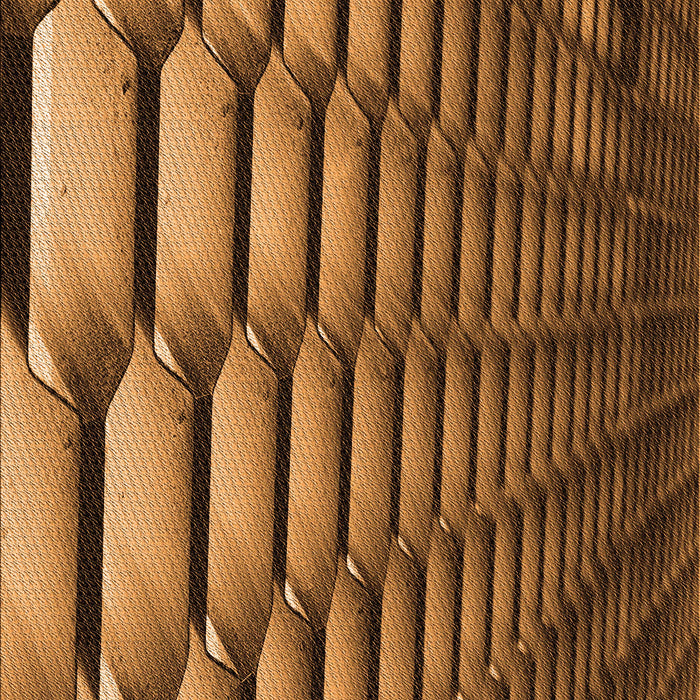 Patterned Red Brown Rug, pat1731org