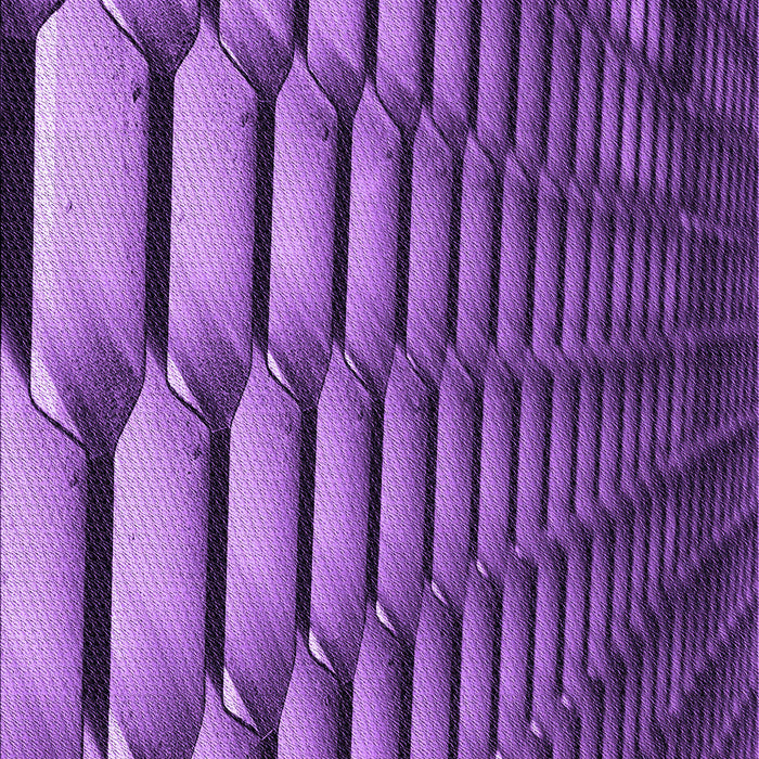 Patterned Purple Rug, pat1731pur