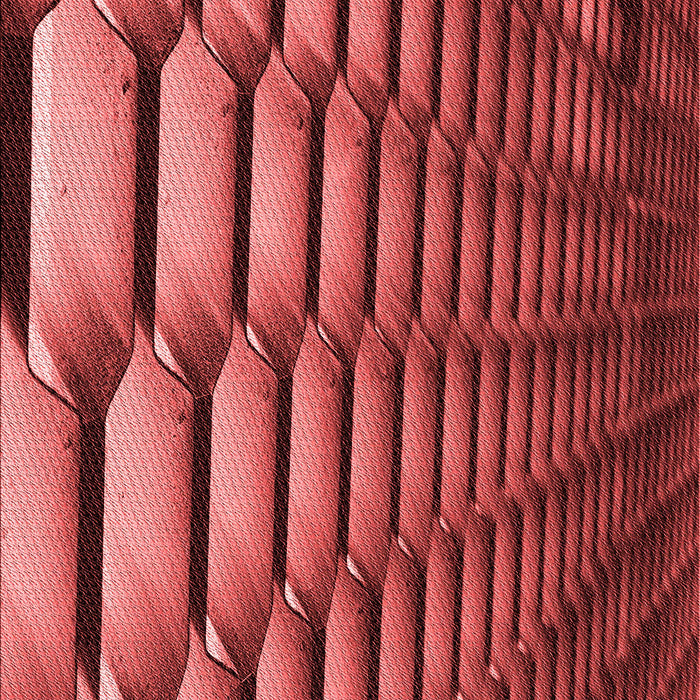 Machine Washable Transitional Cranberry Red Rug, wshpat1731rd