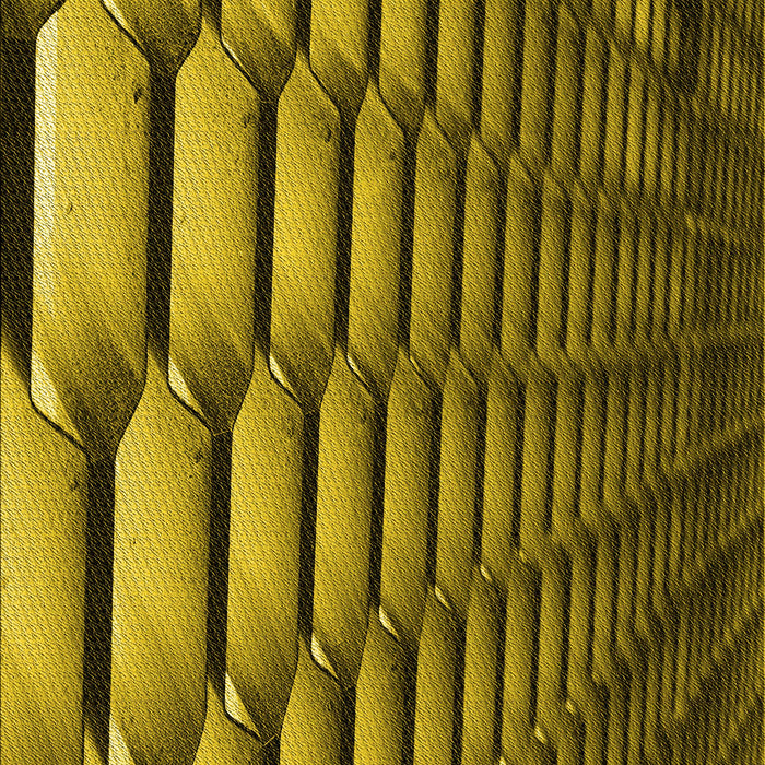 Patterned Orange Gold Rug, pat1731yw