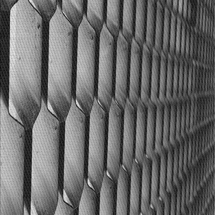 Patterned Charcoal Black Novelty Rug, pat1731