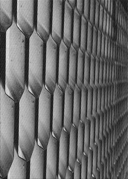 Machine Washable Transitional Charcoal Black Rug, wshpat1731