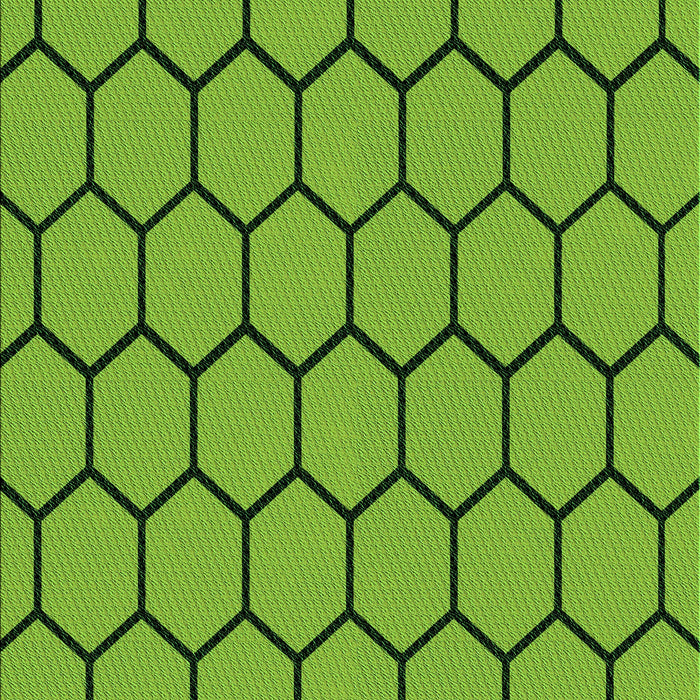 Machine Washable Transitional Bright Green Rug, wshpat1732grn