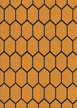 Machine Washable Transitional Mahogany Brown Rug, wshpat1732