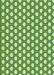 Machine Washable Transitional Light Green Rug, wshpat1733grn