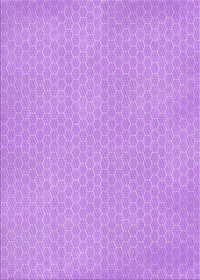 Machine Washable Transitional Violet Purple Rug, wshpat1734pur