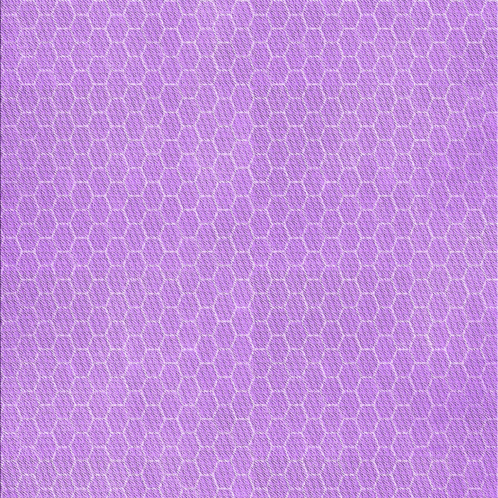 Machine Washable Transitional Violet Purple Rug, wshpat1734pur