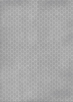 Patterned Gray Novelty Rug, pat1734