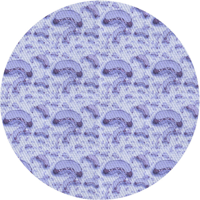 Square Machine Washable Transitional Purple Rug in a Living Room, wshpat1737blu