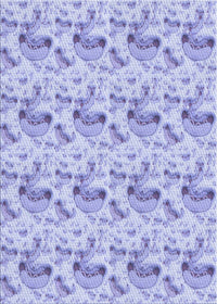 Machine Washable Transitional Purple Rug, wshpat1737blu