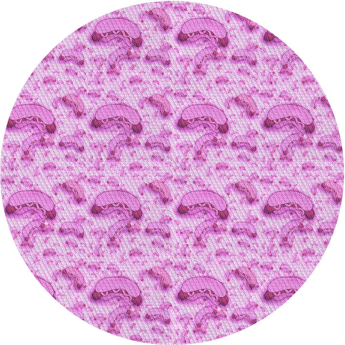Square Machine Washable Transitional Blossom Pink Rug in a Living Room, wshpat1737pur