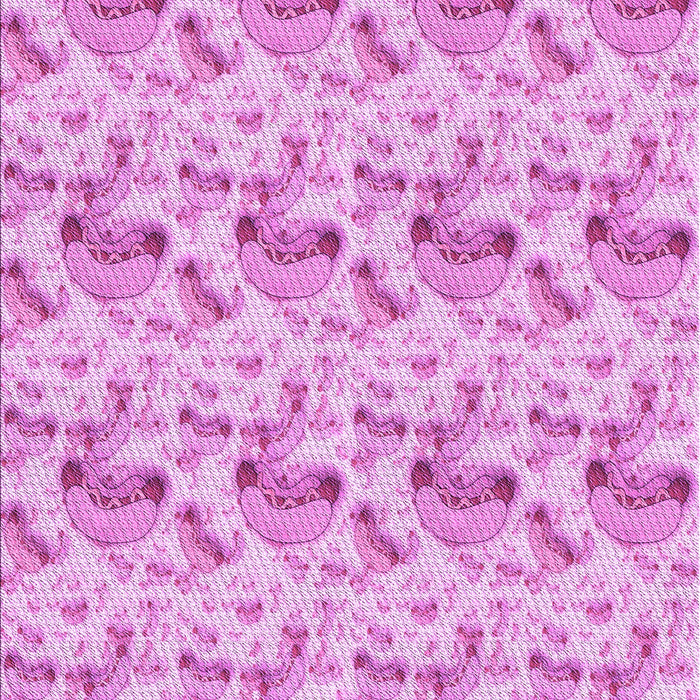 Machine Washable Transitional Blossom Pink Rug, wshpat1737pur
